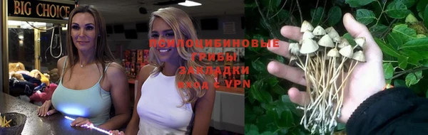 apvp Карталы