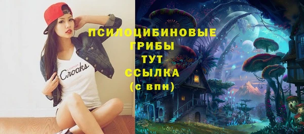 apvp Карталы