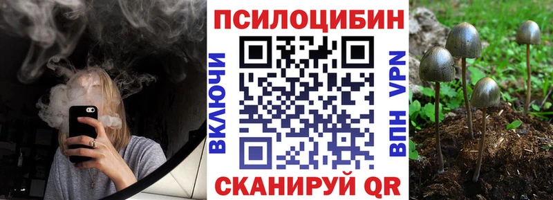 Псилоцибиновые грибы Psilocybe Новоузенск