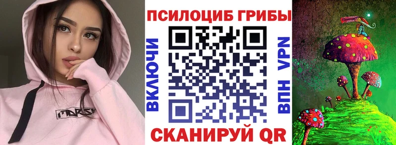 Псилоцибиновые грибы прущие грибы  Купить закладки  Новоузенск 